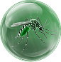 Monsoon pathogen