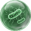 Monsoon pathogen