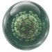 Monsoon pathogen