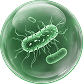 Monsoon pathogen