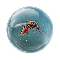 Monsoon pathogen